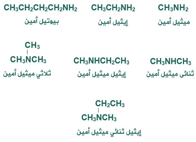 تسمية الأمينات